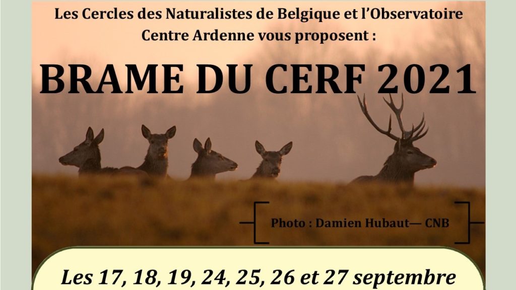 Pour en savoir plus sur nos activités